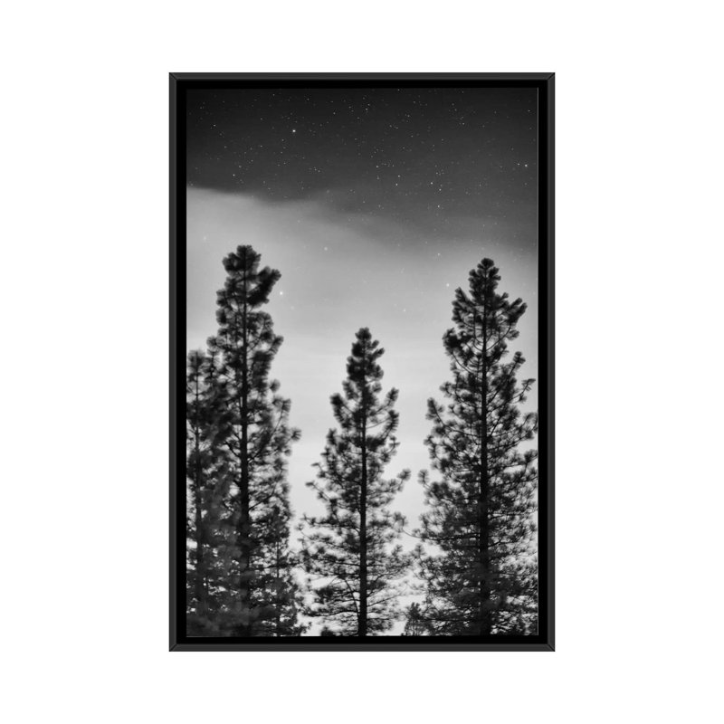 "Rumour" by Geoffrey Ansel Agrons Photographic Print on Canvas, 26" H x 18" W x 1.5" D, Black Framed Canvas, No Mat