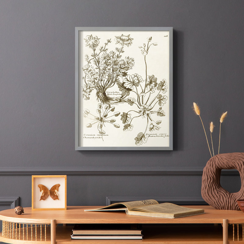 «Sepia Botanical Journal», reproduction encadrée en bois massif, H 14 po x l 11 po, Noir