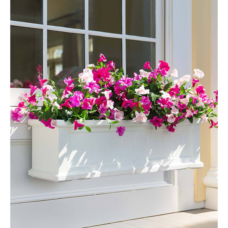 Petunia Arrangement