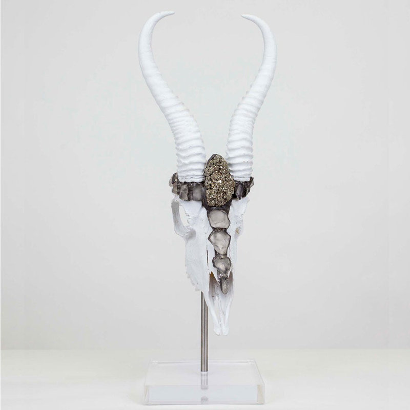 Warrin Springbok Skull wih Horns with Pyrite Mounted Statue