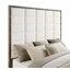Kassius Upholstered Standard Bed-562925037-587020503