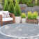 Abigayle Indoor / Outdoor Rug
