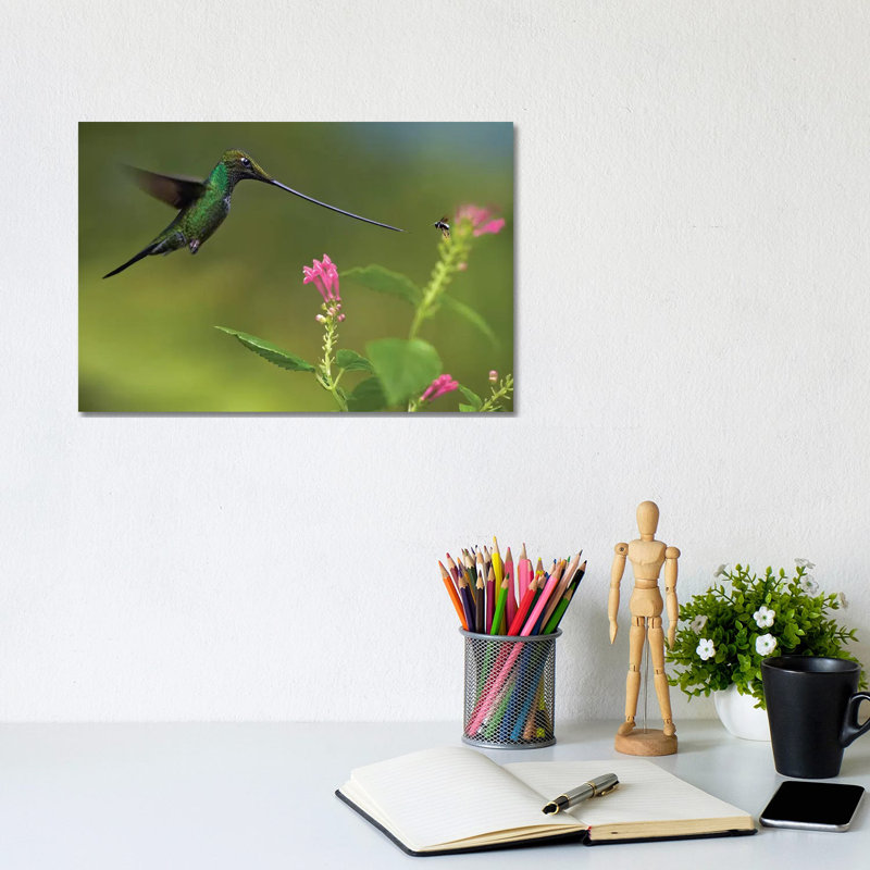 Sword-Billed Hummingbird And Insect, Ecuador by Tim Fitzharris - Gallery-Wrapped Canvas Giclée on Canvas, Canvas