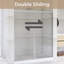 60 po X P 72 po Porte de douche coulissante double H-112112354