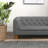 Pet sofa with armrests and button tufted back