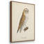 «French Owls IV», reproduction sur toile 3 pièces-91887711-91887712