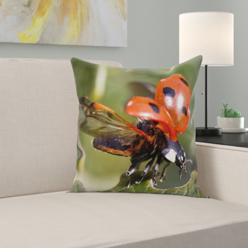 Coussin coccinelle