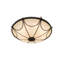 Carousel 8 - Light Pendant