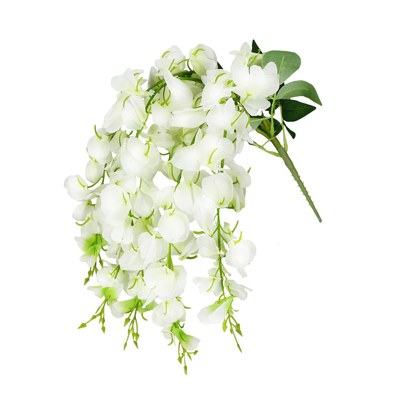 Buisson de glycine suspendu, Blanc crème
