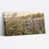 Wrapped Canvas