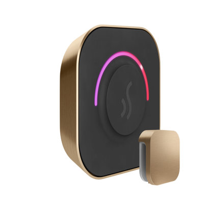 TempoTouch Steam Shower Control and Steamhead 