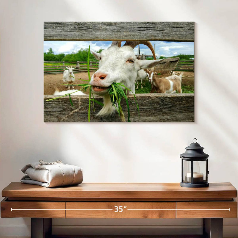 Brampt Euphoric Goat, 16" H x 24" W