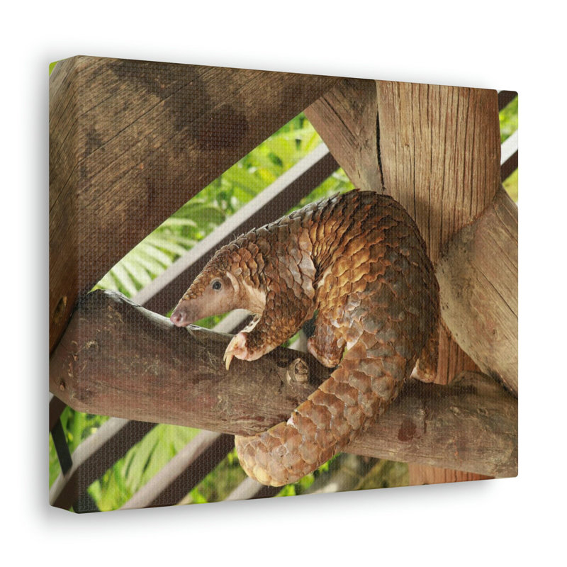 No Frame Print on Canvas