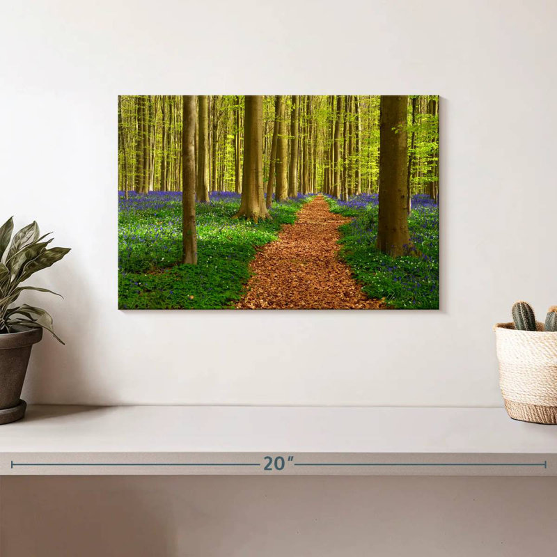 Chemin de hêtre Alvord Hallerbos, H 8 po x l 12 po