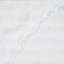 Polar 18 in. x 18 in. Polished Travertine Tile