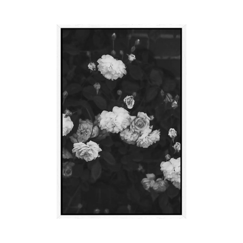 Black And White Roses - Print on Canvas, White Framed, 66.04cm H x 45.72cm W x 3.81cm D