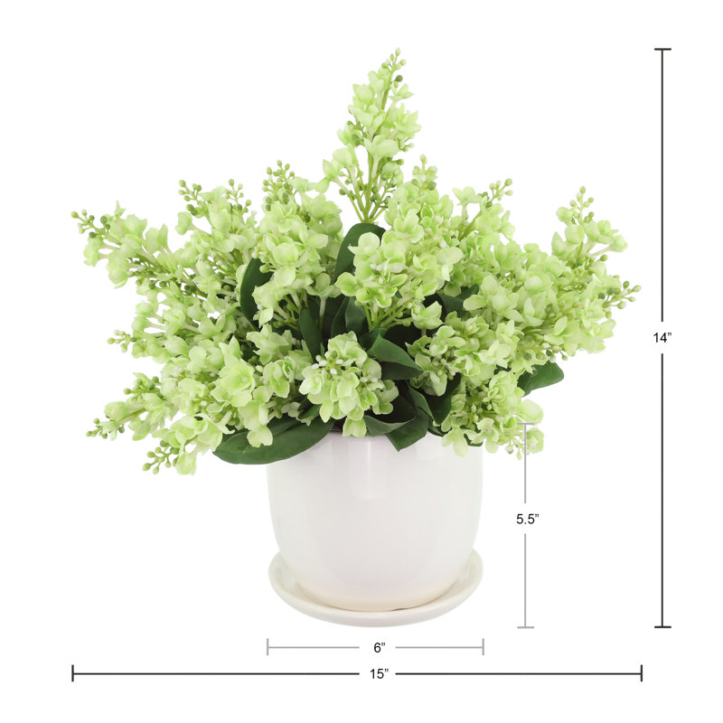 Lilas disposés dans un pot en céramique