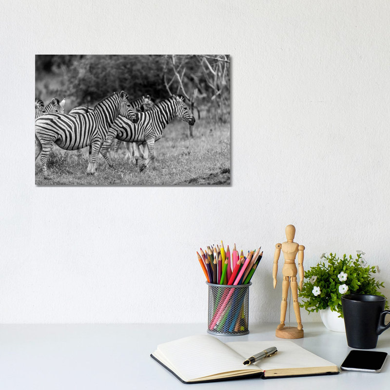 The Zebra Family by Anders Jorulf - Wrapped Canvas Print, 20.32 cm H x 30.48 cm W