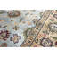 Maharajah Wool Oriental Area Rug in Gray/Brown