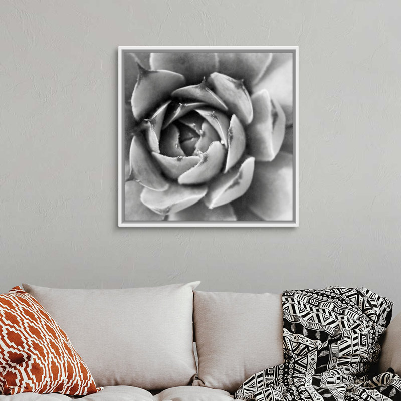 «Garden Succulent II», art mural sur toile, Toile avec cadre blanc, H 30 po x l 30 po x P 1,75 po