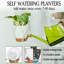 Cintres à plantes avec pots et soucoupes-1853934941