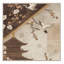 Machine Washable Penola Global Inspired Oriental Rug in Beige – Beige Binding-643396064
