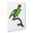 A Red-Cheeked Parrot by F. Levaillant - Wrapped Canvas Painting-55368397