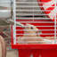 Hamster Cage