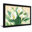 Plantes et fleurs de lys blancs Calla avec feuilles vertes-400441737-400441742-400441736