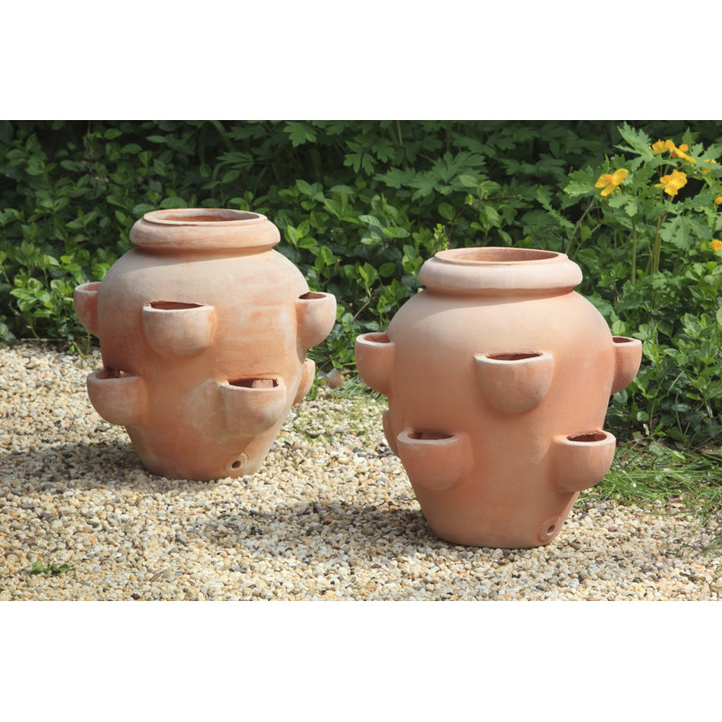 Pot de fleurs en terre cuite Tascandi