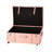 Texture Brand Designer Trunk with Wheels - Faux Leather-1007580415