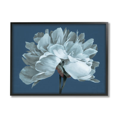 Stupell Industries Contemporary White Bloom Single Flower Sprig By Liz Jardine - Floater Frame Graphic Art On Canvas In Midnight Black Framed Giclee