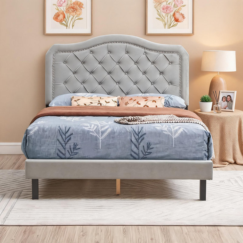 Lit tapissier très grand en velours gris avec un design capitonné arqué, des lattes en bois robustes pour le soutien et un assemblage facile et pratique.