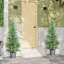 Faux Cypress Tree Plant-1726785649