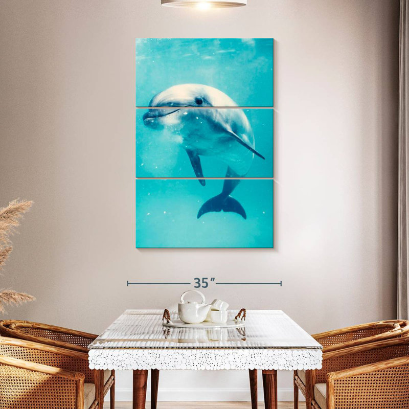 Brampt Bottlenose Dolphin Underwater, 50'' H x 32'' W