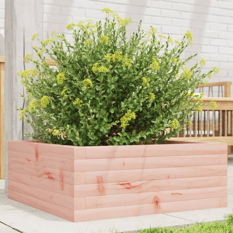 Amiela Planter Box, 23cm H x 60cm W x 60cm D, Douglas