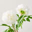 Peony Floral Arrangements in Vase