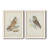 " Hawk Owl " 2 - Pieces-747655249-747655244