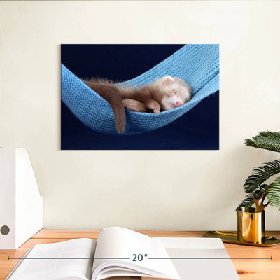 Ferret Hammock