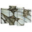 Marbled Wing Of Butterfly-108863052