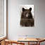 Ours brun de Brampt-117480017