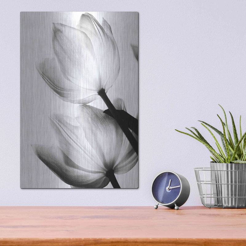 Tulipes translucides II par Debra Van Swearingen, H 16 po x l 12 po