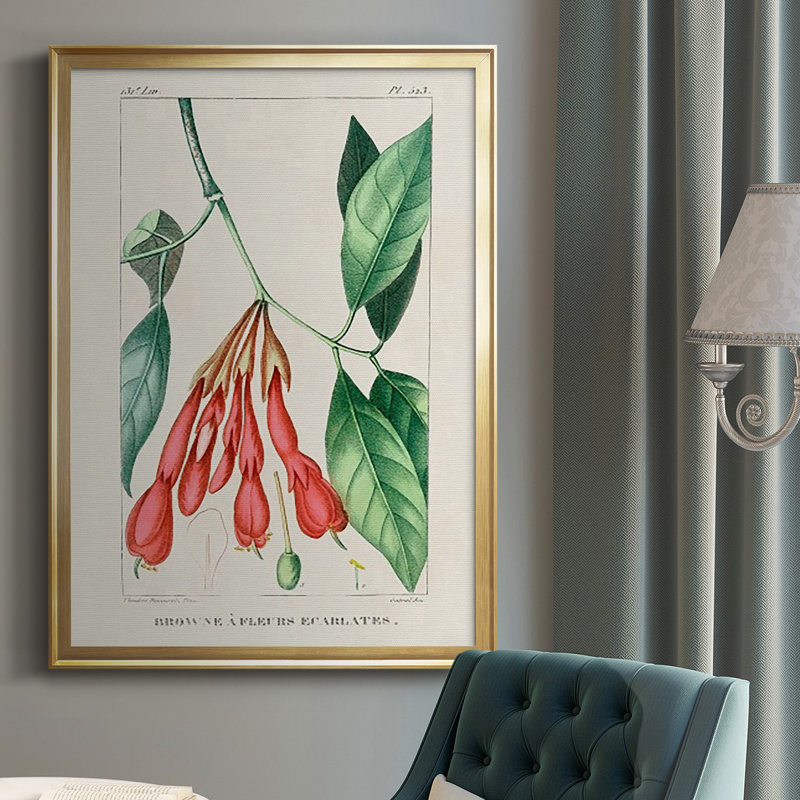 Turpin Tropical Botanicals I, reproduction d'art encadrée, Encadrement doré, H 42,5 po x l 30,5 po x P 1 po