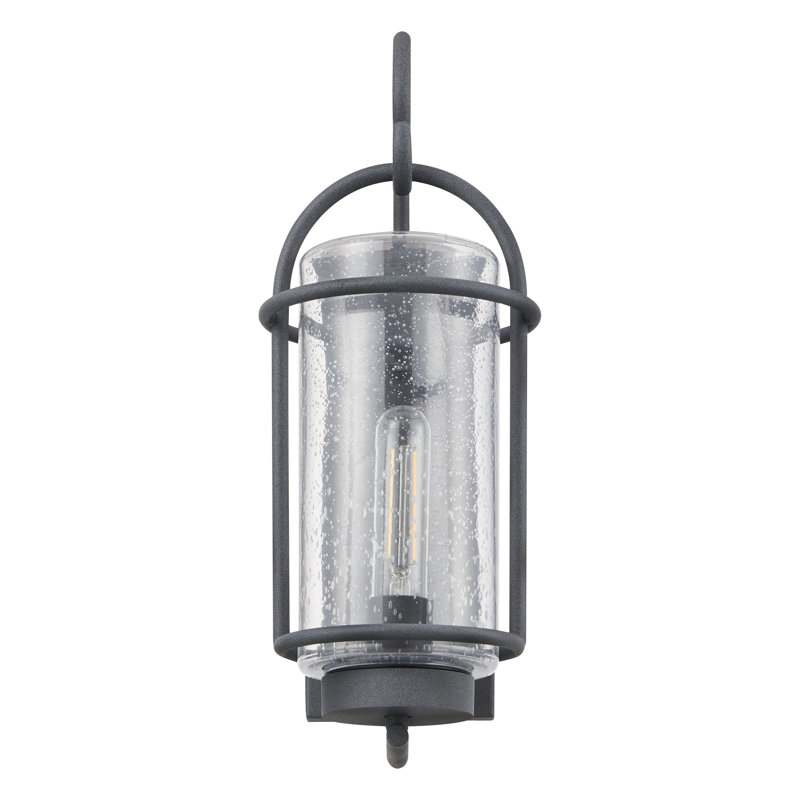 Seltzer 16-inch 1-light Weathered Zinc Exterior Wall Sconce with Clear Seeded Glass Shade, 16.25" H x 6.25" W x 8.25" D