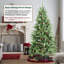 Sapin de Noël artificiel Fraser-1895198953