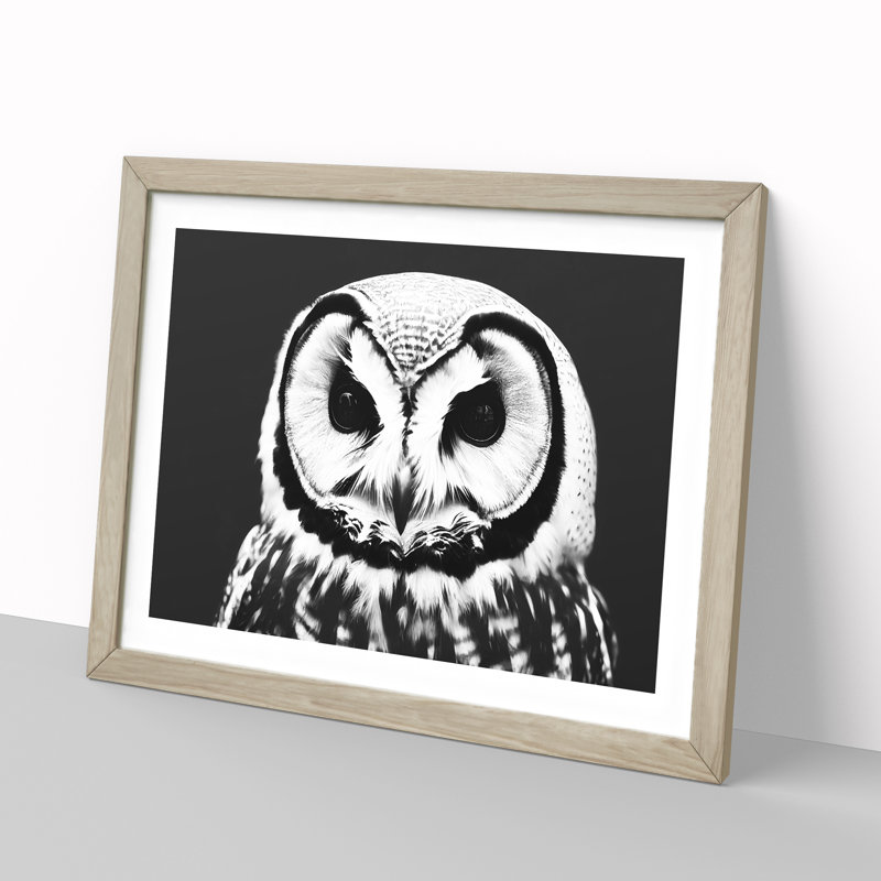 XH1022-6549X Owl Portrait Monochrome Vol.1 - Single Picture Frame Print, 46cm H x 64cm W, Grey