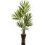 72'' Faux Palm Tree in Wood Decorative Vase
