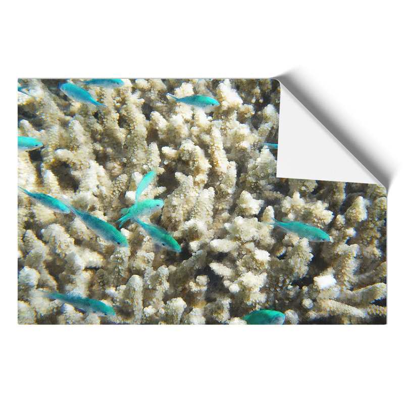Coral Reef and Blue Fish Painting - Frameless Print, 42cm H x 59cm W x 0.1cm D
