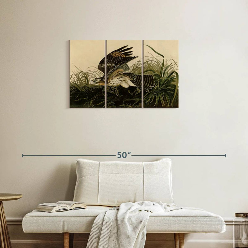 Brampt Winter Hawk, 20" H x 33" W
