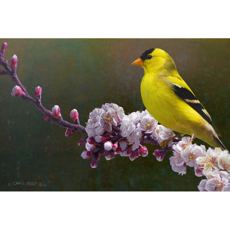 Fleurs de chardonneret, H 12 po x l 18 po x P 1,25 po